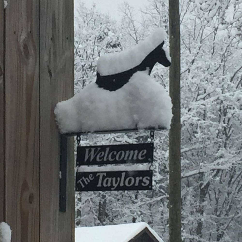 Meet your Posher, Allison